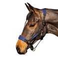 thumbnail image 2 of Whitaker Collier de Tête Cheval Harewood, 2 of 3