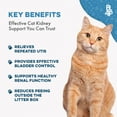 thumbnail image 4 of BestLife4Pets Cat UTI, Kidney & Bladder Support - Natural Supplement for Cats Renal Health and Bladder Control - 400 Pills, 4 of 14