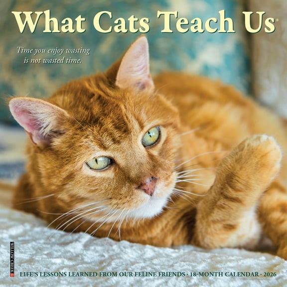 What Cats Teach Us 2026 Mini Wall Calendar, (Paperback)