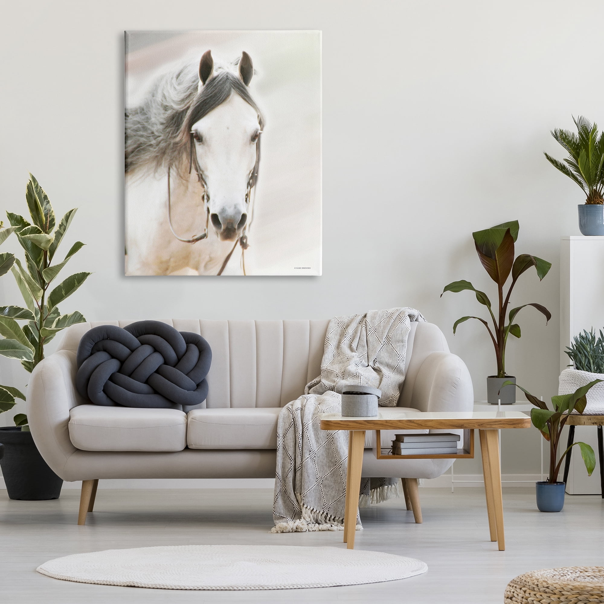 Stupell Industries White Horse Portrait Animals & Insects Photography Gallery Wrapped Canvas Print Wall Art, 36 x 48