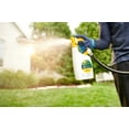 thumbnail image 5 of EZFEED PLUS WEED CONTROL 32OZ, 5 of 9