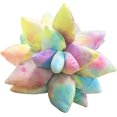 thumbnail image 1 of 10Almohada de cactus suculentas 3d coloridas, suculentas lindas, para jardín esquí esquí Gafas de esquí, 1 of 5
