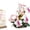Orchid Mantis, variant on SKQIT Insect Flower Series Block Art Desktop Decorations: Tiger Butterfly, Orchid Mantis, Honeybee & Cicada Shell - Nature-Inspired Collectibles