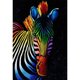 thumbnail image 1 of Taladro Pintura Diamante (DE3007) 5D DIY Kits de bordado de punto de cruz de cebra a todo color 50x70cm FLhrweasw Nuevo, 1 of 1