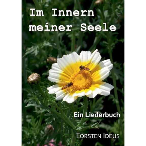 Im Innern meiner Seele: Ein Liederbuch, (Paperback)