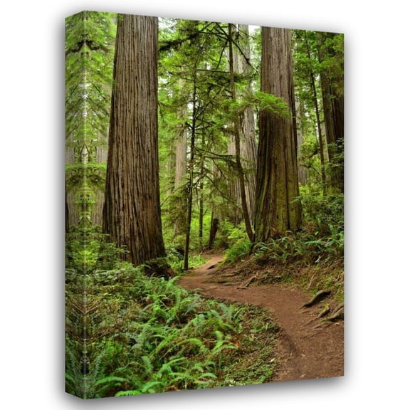 Brian Moore 13x18 Gallery Wrapped Canvas Wall Art Titled - Hiking Trail I