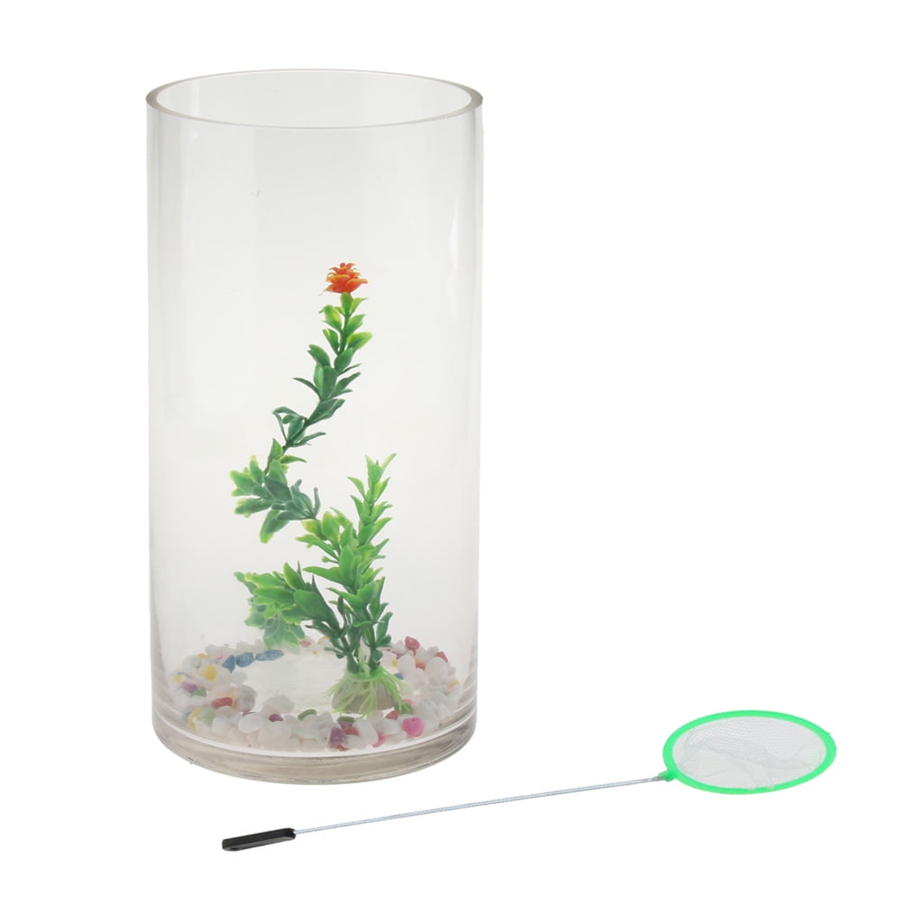 cylindrical glass aquarium