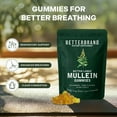 thumbnail image 6 of Betterbrand Mullein Chewable Gummies for Lung Cleanse and Detox, Respiratory Health Supplement, 1000mg Mullein Extract per Serving, 180 Gummies - 90 Day Supply - Pear Flavored, 6 of 8