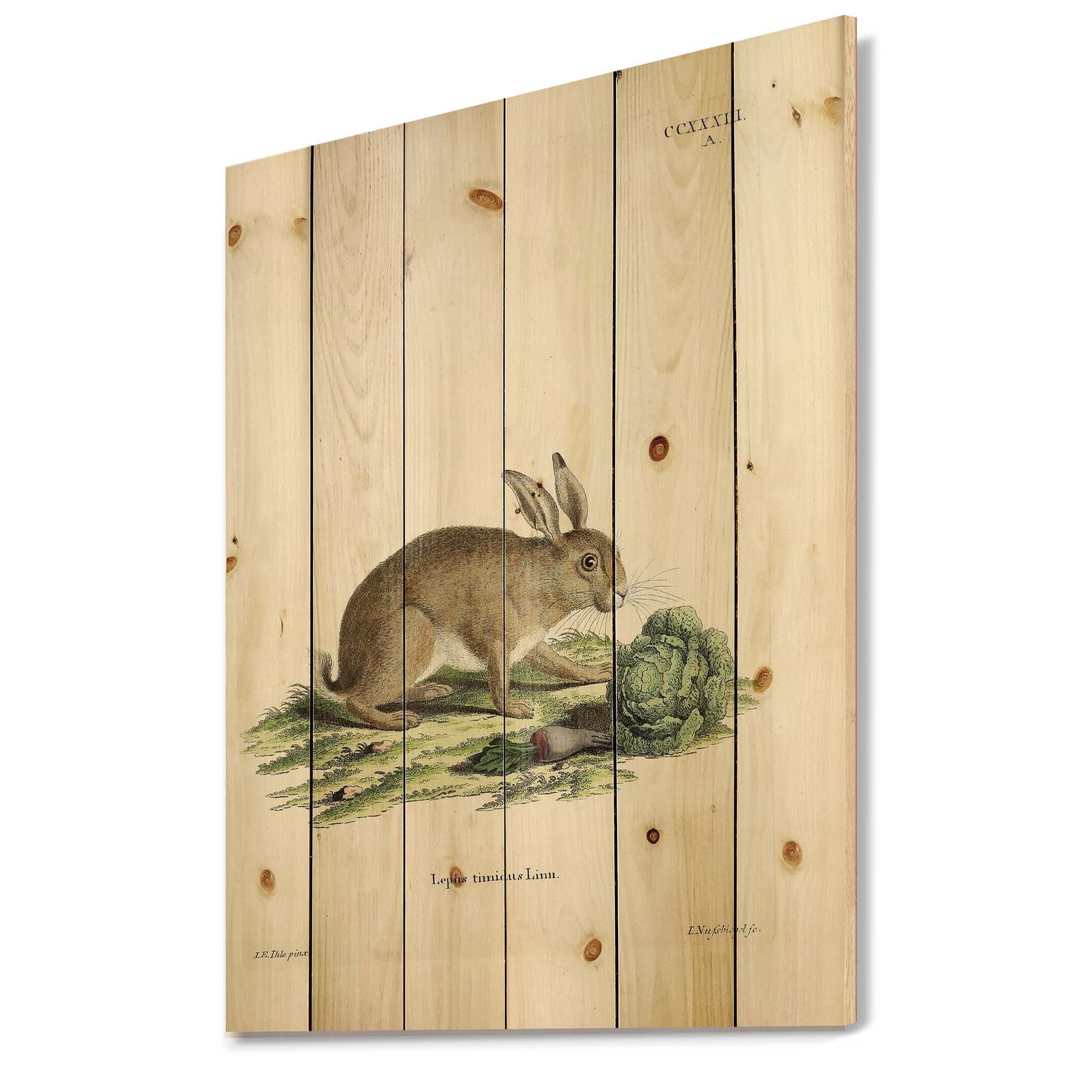Designart 'Ancient Rabbits In Earth Tones' Farmhouse Print on Natural Pine Wood