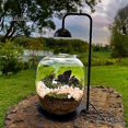 thumbnail image 3 of Micro Landscape Plant Growth Lamp with Timmer Height Adjustable Flicker Free Sunlight-like Spectrum Indoor LED Plant Lamp, 3 of 5