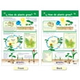 thumbnail image 2 of All About Plants Bulletin Board Chart Set – Set of 5, 2 of 9