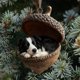 thumbnail image 5 of Adornos de bellota de animales del bosque, acogedores adornos navideños de bosque, decoración para árbol de Navidad, piña personalizada, adorno colgante de criatura del bosque, regalo para amantes de, 5 of 7