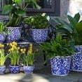 thumbnail image 3 of Euro Ceramica ClayBarn Blue and White Aviary Garden Planter 12.75 x 11.50 x 10, 3 of 5