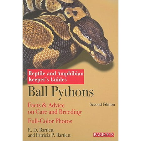 Ball Pythons (Best Setup For Ball Python)