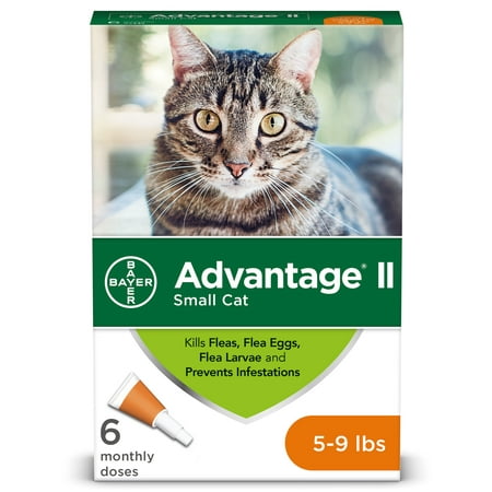 Advantage II Flea Treatment for Small Cats, 6 Monthly (Best Outdoor Flea Treatment)