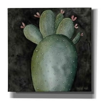 Epic Graffiti 'Big Blooming Cactus II' by Cindy Jacobs, Canvas Wall Art, 26"x26"