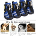 thumbnail image 4 of Chaussures pour Animaux de Compagnie Chaussures de Sport d'Intérieur Mesh Respirant Classique Coton Fermeture Éclair Chaussures pour Animaux de Compagnie, 4 of 10