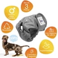 thumbnail image 2 of Set de 3 Pañales para Perro Hembra Super Absorbentes y Reusables. Pañales para Perros. Pañal Entrenador. Dog Diapers Mascretta Pañal para Perro Hembra, 2 of 7