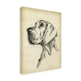 thumbnail image 2 of Trademark Fine Art 'Breed Studies VI' Canvas Art by Ethan Harper, 2 of 3
