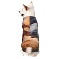 thumbnail image 1 of Fotbe Lava Dragon Sudadera con Estampado para Perros Pequeños – Suéter con Capucha para Mascotas, Tela Suave de Forro Polar con Bolsillo-Medium, 1 of 7