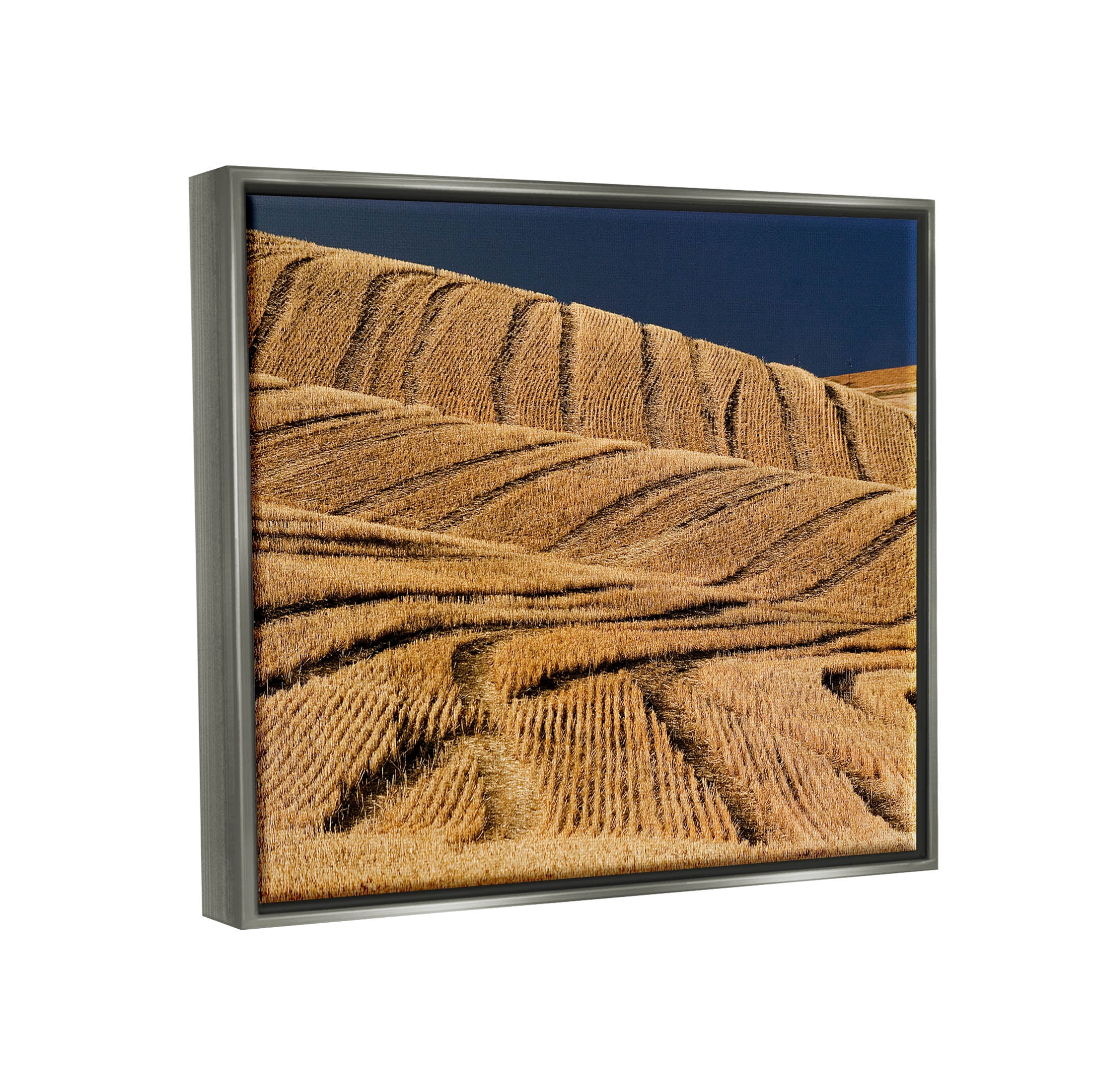 Stupell Industries Wavy Cornfield Lines Vast Rural Field Photograph Luster Gray Floating Framed Canvas Print Wall Art, Design by David Lorenz