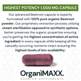 thumbnail image 4 of 2,000mg Organic Beetroot Capsules 120 Count HIGHEST POTENCY Beetroot Powder In Double Dose Large Size ​​Vegan Capsules (1,000mg Per Capsule X2)., 4 of 8
