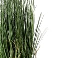 thumbnail image 5 of Vickerman 24" Artificial Potted Green Curled Grass., 5 of 7