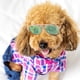 thumbnail image 5 of 4 pares de gafas de sol con forma de gato, protección UV, gafas de sol clásicas retro para perros pequeños para fiestas de disfraces ER, 5 of 5