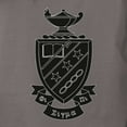 thumbnail image 3 of CafePress - Phi Sigma Pi Black Shield T Shirt - Womens Comfort Colors® Shirt, 3 of 4