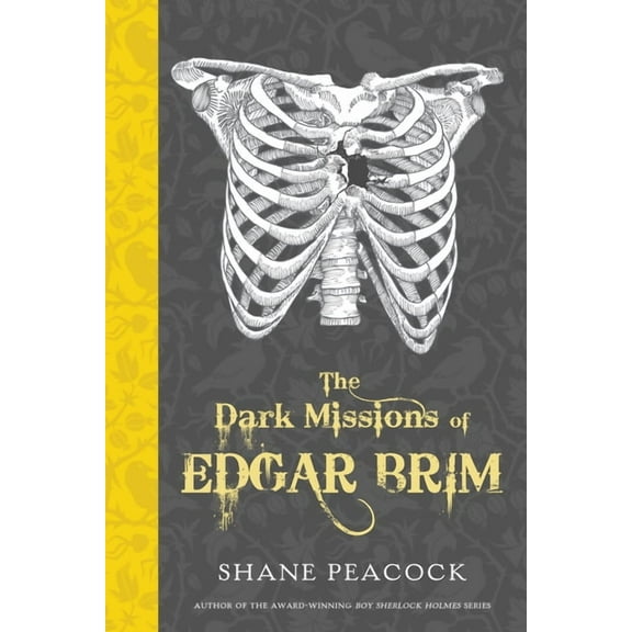 Dark Missions of Edgar Brim: The Dark Missions of Edgar Brim (Series #1) (Paperback)