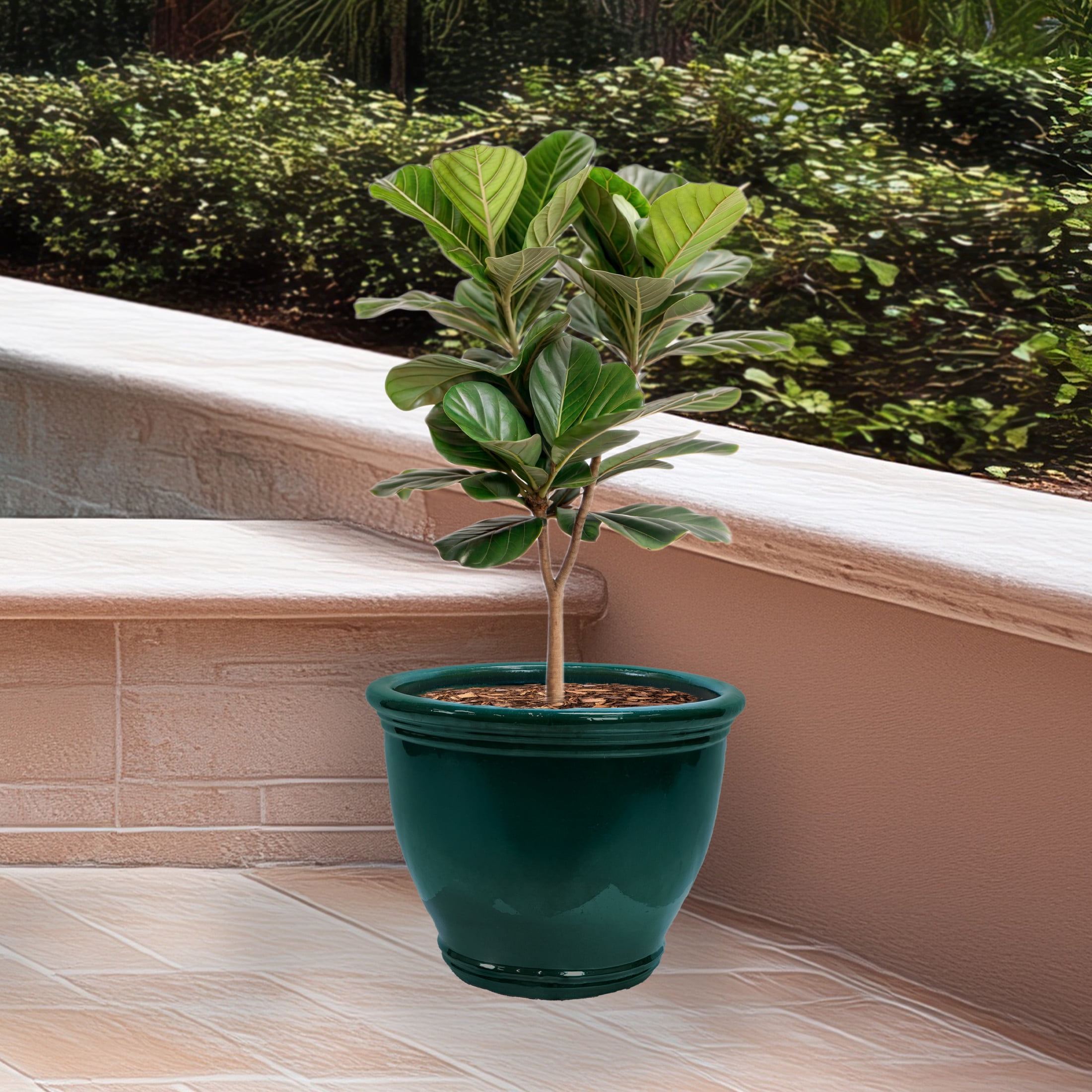 Sunnydaze Studio 18.5" x 18.5" x 15" H Round Dark Green Ceramic Solid Plant Pot