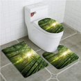 thumbnail image 1 of ABPHQTO Bosque Verano Árboles Vista Hacia Arriba Los Rayos Sol Gotean De Las Ramas Naturaleza Helecho Juego de alfombras de baño de 3 piezas Alfombra de baño Alfombra de contorno y tapa de inodoro ABPHQTO Cont-CHAPPLE-28265, 1 of 2
