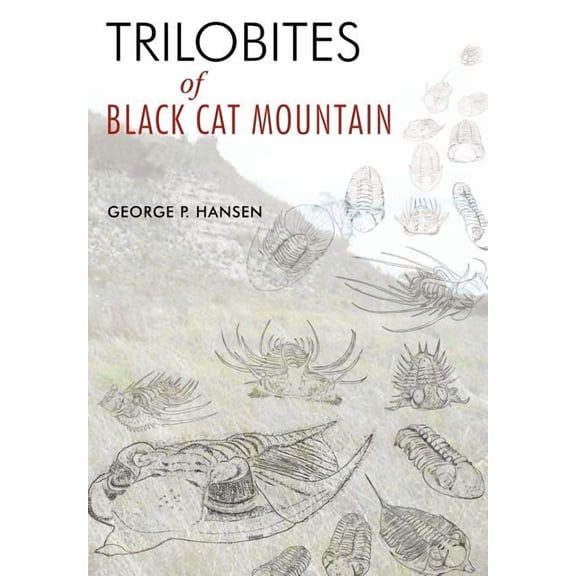 Trilobites of Black Cat Mountain (Hardcover)