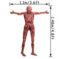 thumbnail image 2 of Colgantes para torso con forma de cadáver de Halloween, Xonor, 148 cm, de látex, 2 of 7
