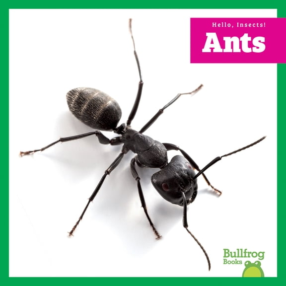 Hello, Insects! Ants, (Paperback)