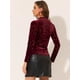 thumbnail image 3 of Blusa de Mujer Allegra K Terciopelo Cuello Redondo Manga Larga Estrellas Brillantes Metálicas Borgoña L, 3 of 5