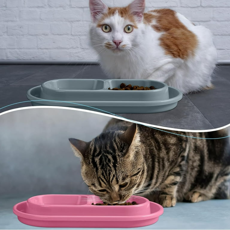 Outdoor cat bowls discount