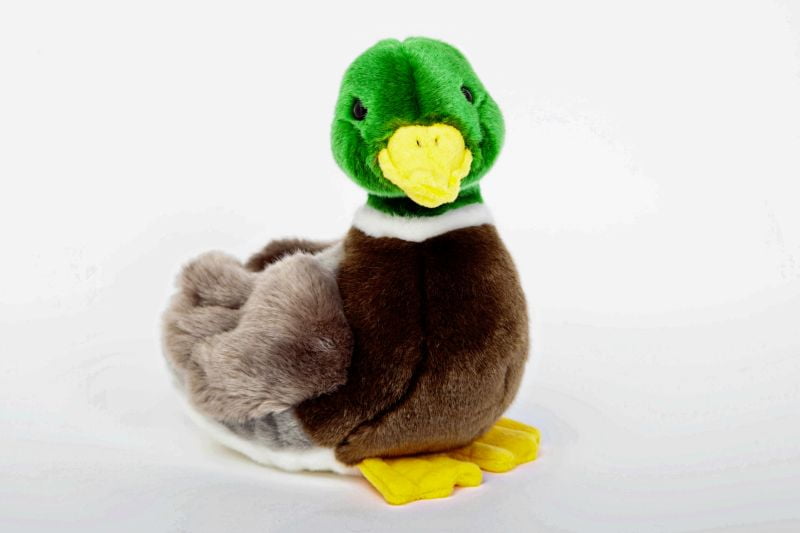 plush mallard duck