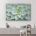 thumbnail image 2 of Wall26 Canvas Print Wall Art Green Rose Succulent Wall Print Nature Wilderness Photography Home Decor Realism Floral Botanical Southwest Rustic Countryside Desert Landscape for Bedroom - 32"x48", 2 of 5