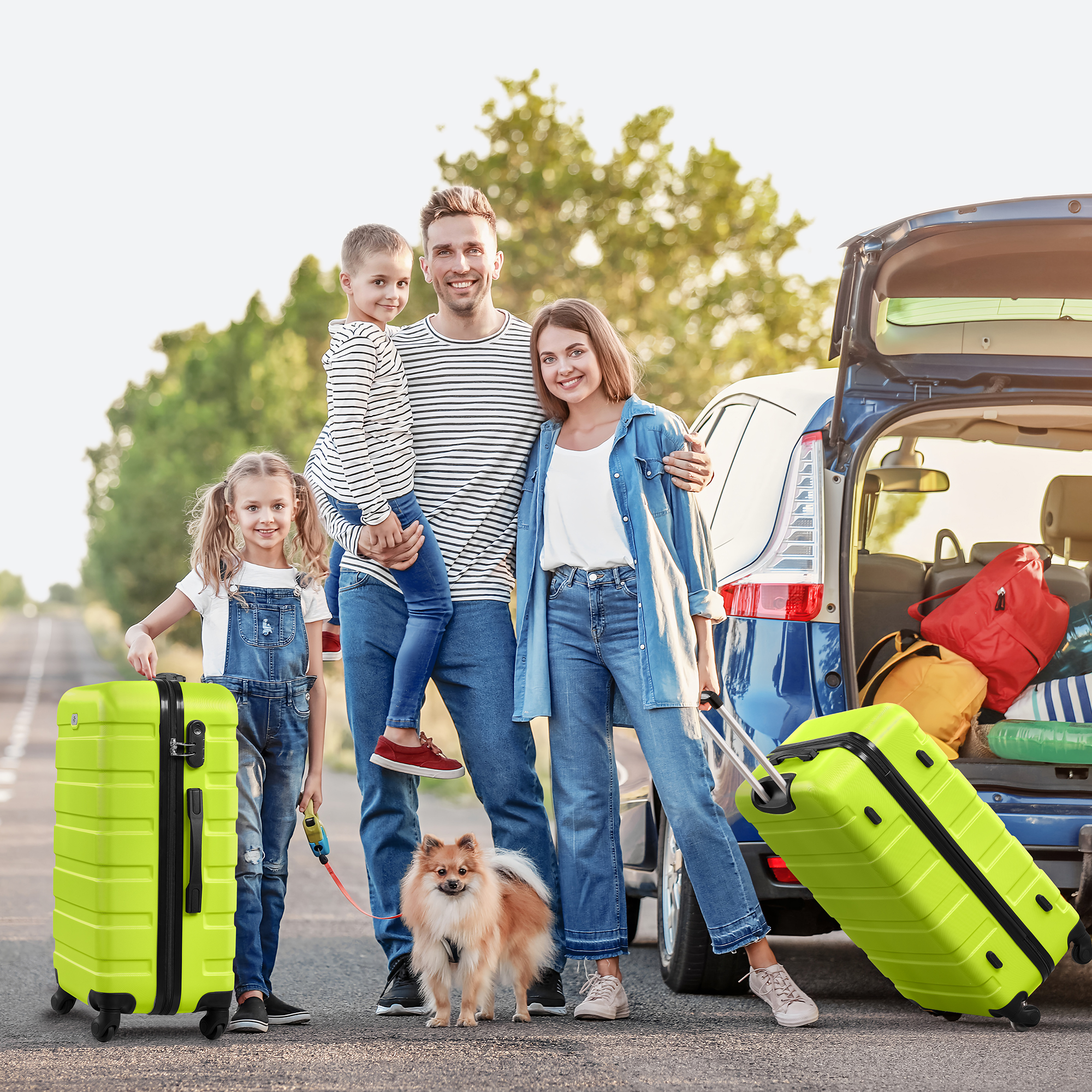 Gowill 4-Piece Luggage Set, Lime Green photo 7