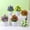 Orange, variant on Bowayaoa Artificial Bonsai Tree-Fake Plant in Pot Artificial Plants,Faux Pine Bonsai Artificial Plants for Home Decor Indoor,Office/Windowsill/Yard,Desktop Display, Zen Garden Décor