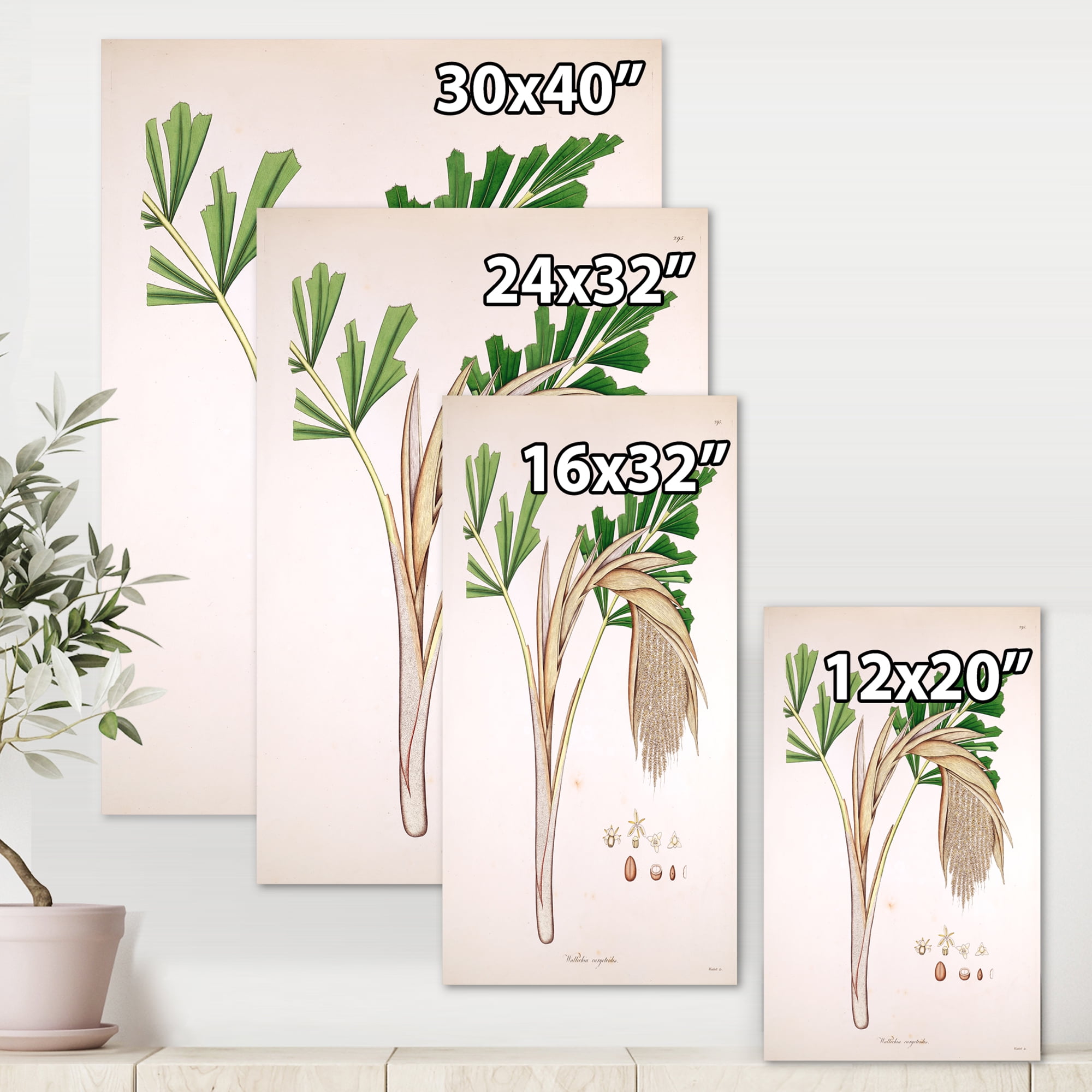 Designart ' Ancient Plant Life XV ' Farmhouse Canvas Wall Art Print