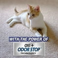 thumbnail image 4 of Resolve Pet Expert Carpet Spot & Stain Remover Spray, Pet Stain and Odor Remover, Carpet Cleaner, 22oz (Pack of 2), 4 of 5