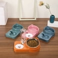 thumbnail image 3 of 2 In 1 Cat Double Bowls, Elevated Stainless Steel Cat Inclined Food Bowl With Automatic Water Bottle For Neck Protection, 3 of 6