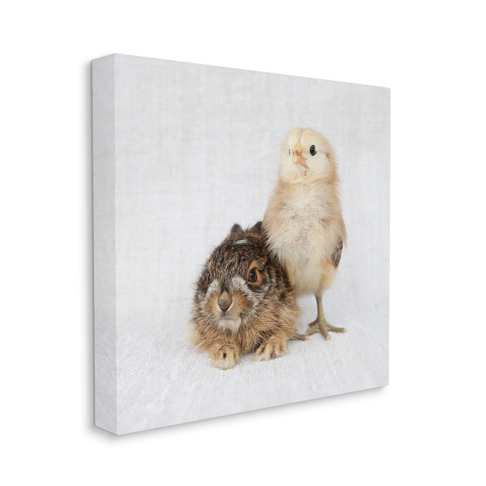Stupell Industries Baby Animals Chick Bunny Duo Portrait Photography Photograph Gallery Wrapped Canvas Print Wall Art, Design by Tania Soderman