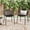 Black, variant on Set of Outdoor Dining Chairs  Stacking Chair  Outside Dinner Garden/Balcony/Poolside Stackable Accent Chairs Metal Legs Plastic Cutout Backrest Burnt Orange