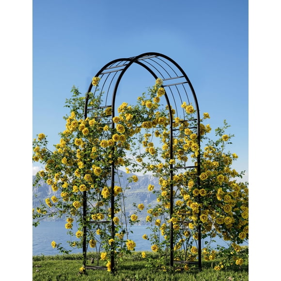Arche de Jardin en Métal – Tonnelle en Acier Antirouille de 8 Pi – Grand Arche Extérieure avec Piquets de Sol – Support pour Plantes Grimpantes – Mariages, Fêtes, Pelouse et Jardin – Noir