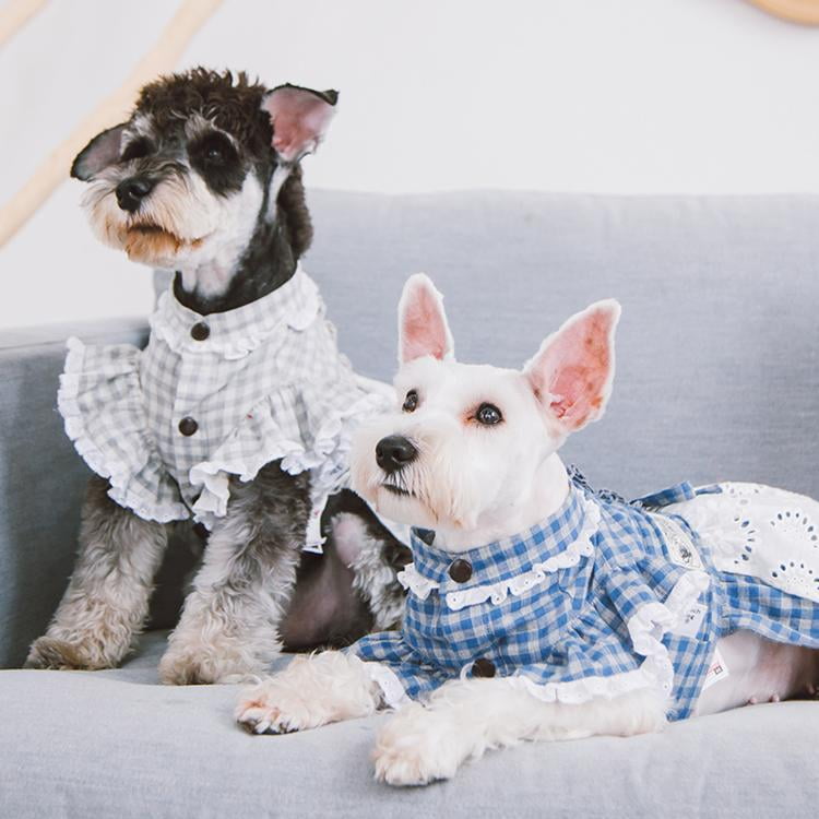 luxury dog dresses Luxury Dog Dress Dog Party Skirt Black Lace Princess Pet Wedding Dress with  Big Bowknot Female Dog Clothes Pet Evening Dress