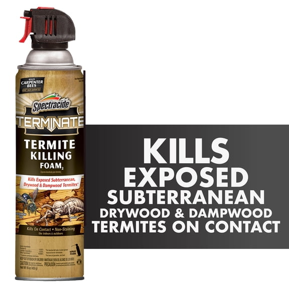 Spectracide Terminate Termite Killing Foam Aerosol, for Indoor and Outdoor Use, 16 Ounces