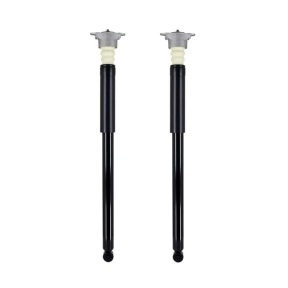 Pair of 2 Rear Complete Shock Absorber Kit For 2018-2020 2022 Ford Ecosport L4